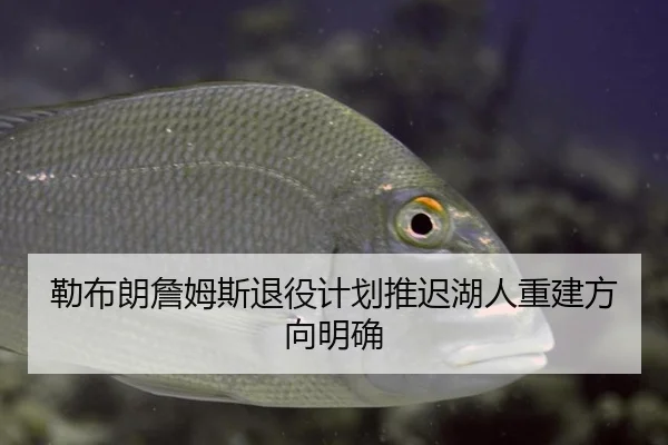 勒布朗詹姆斯退役计划推迟湖人重建方向明确