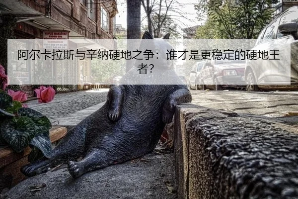 阿尔卡拉斯与辛纳硬地之争：谁才是更稳定的硬地王者？